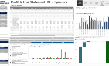 Profit And Loss CFO dashboard